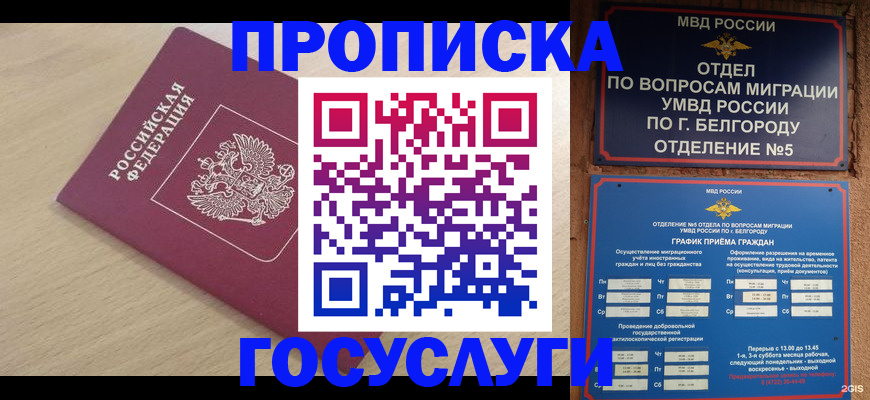 прописка законно в Козьмодемьянске